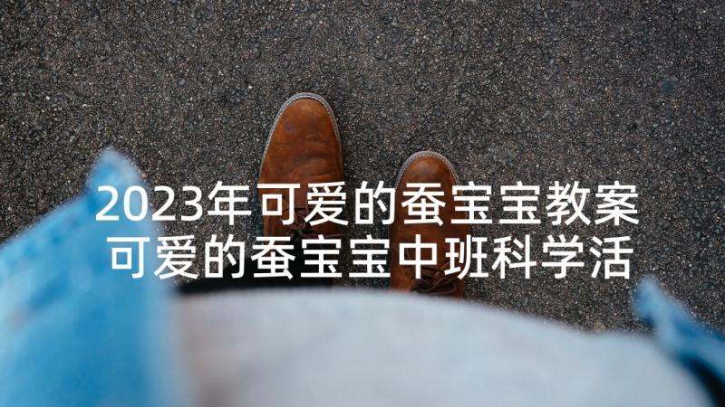 2023年可爱的蚕宝宝教案 可爱的蚕宝宝中班科学活动教案(模板5篇)