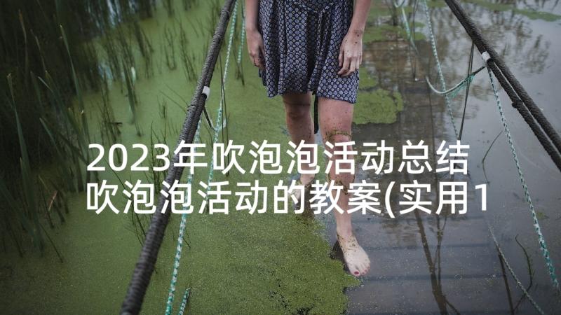 2023年吹泡泡活动总结 吹泡泡活动的教案(实用10篇)