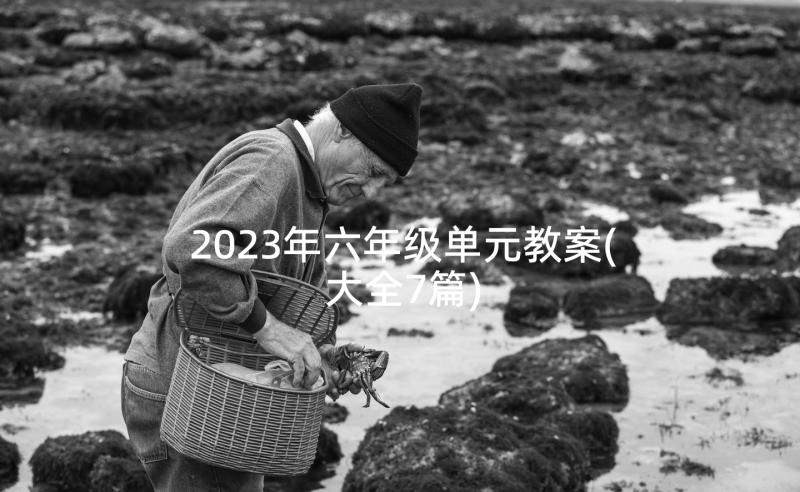 2023年六年级单元教案(大全7篇)