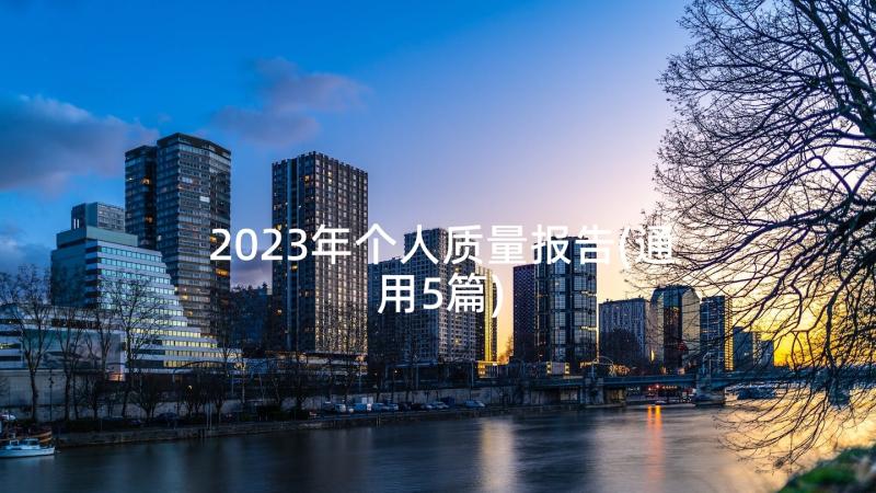 2023年个人质量报告(通用5篇)