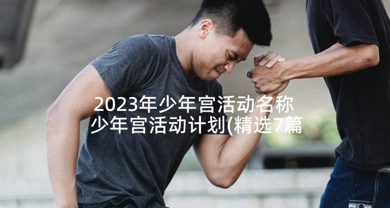 2023年少年宫活动名称 少年宫活动计划(精选7篇)