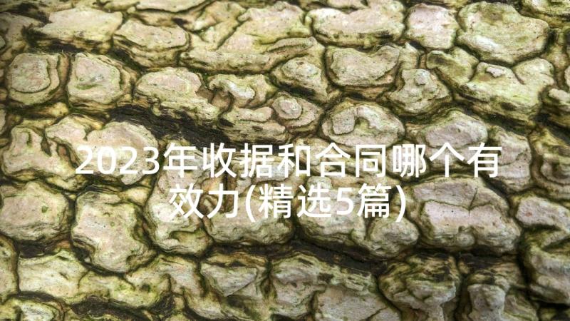 2023年收据和合同哪个有效力(精选5篇)