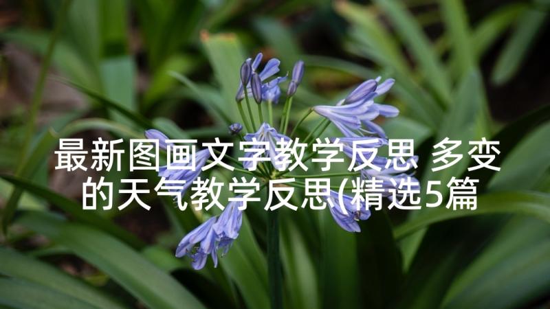 最新图画文字教学反思 多变的天气教学反思(精选5篇)