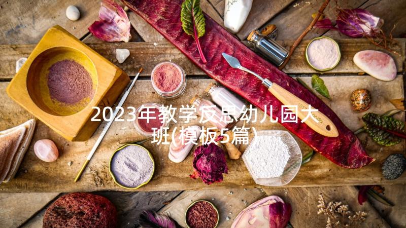 2023年教学反思幼儿园大班(模板5篇)