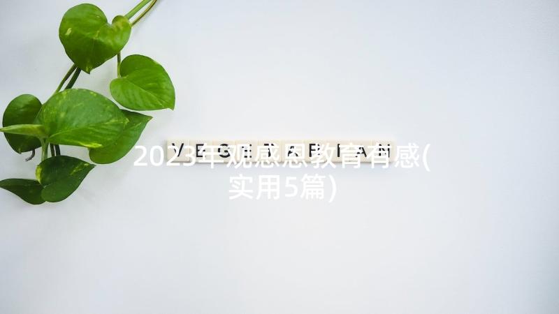 2023年观感恩教育有感(实用5篇)