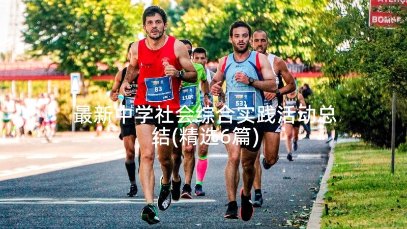 最新中学社会综合实践活动总结(精选6篇)