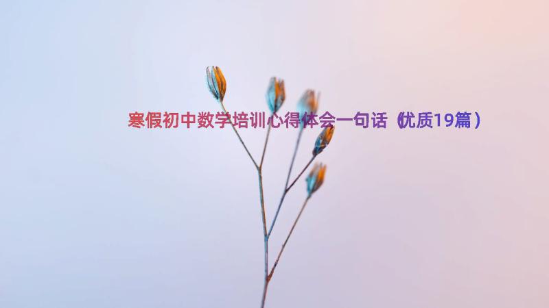 寒假初中数学培训心得体会一句话（优质19篇）