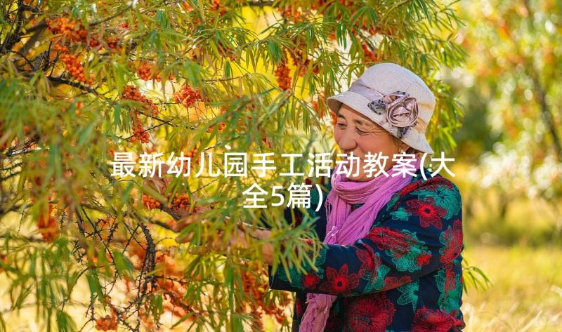 最新幼儿园手工活动教案(大全5篇)