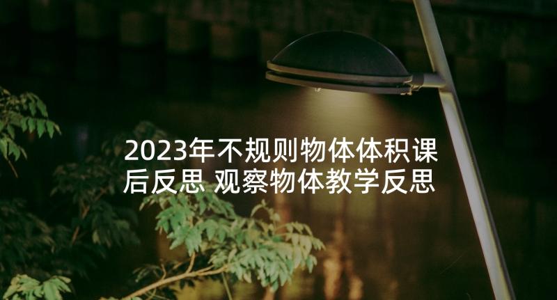 2023年不规则物体体积课后反思 观察物体教学反思(精选8篇)