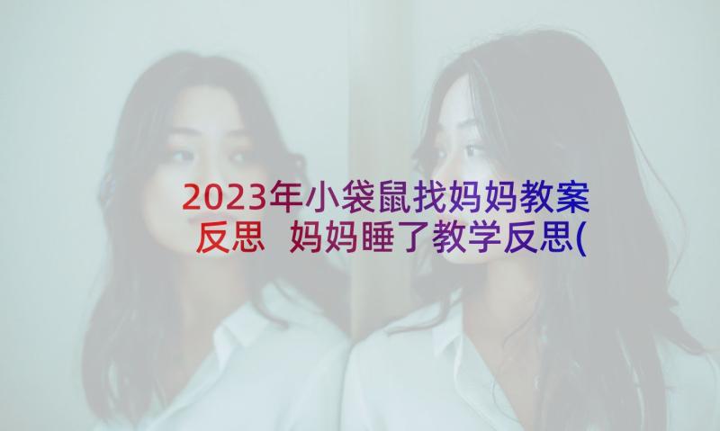 2023年小袋鼠找妈妈教案反思 妈妈睡了教学反思(精选6篇)