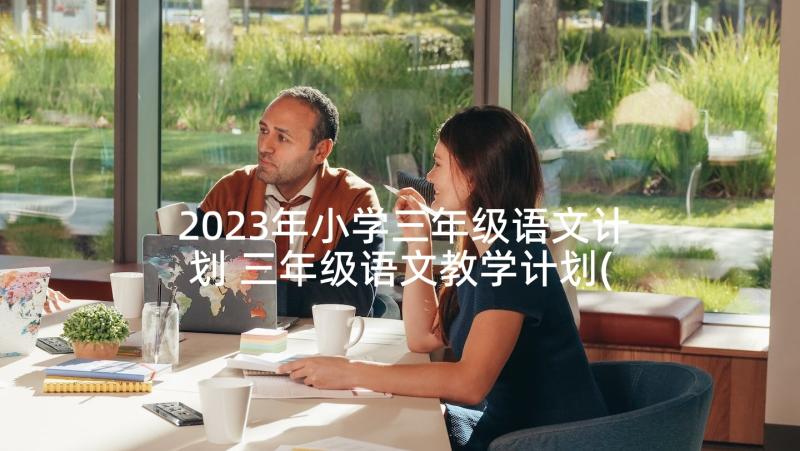 2023年小学三年级语文计划 三年级语文教学计划(精选10篇)