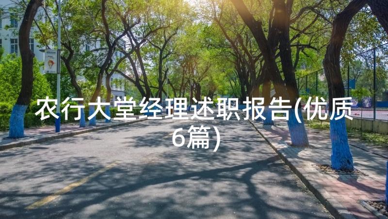 农行大堂经理述职报告(优质6篇)