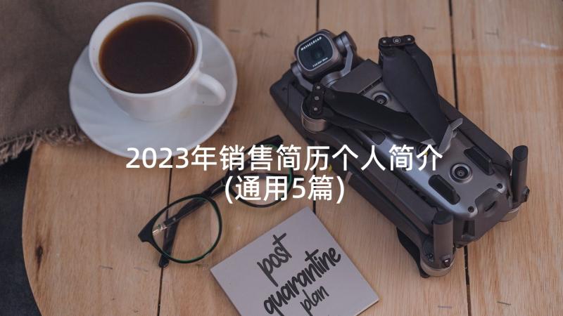 2023年销售简历个人简介(通用5篇)