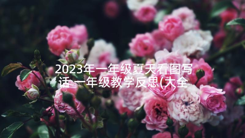 2023年一年级夏天看图写话 一年级教学反思(大全9篇)