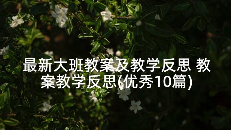 最新大班教案及教学反思 教案教学反思(优秀10篇)