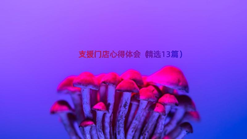 支援门店心得体会（精选13篇）