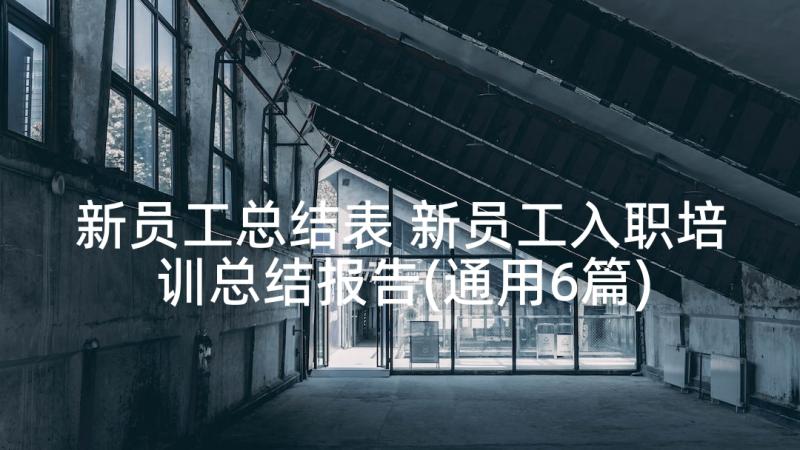 新员工总结表 新员工入职培训总结报告(通用6篇)