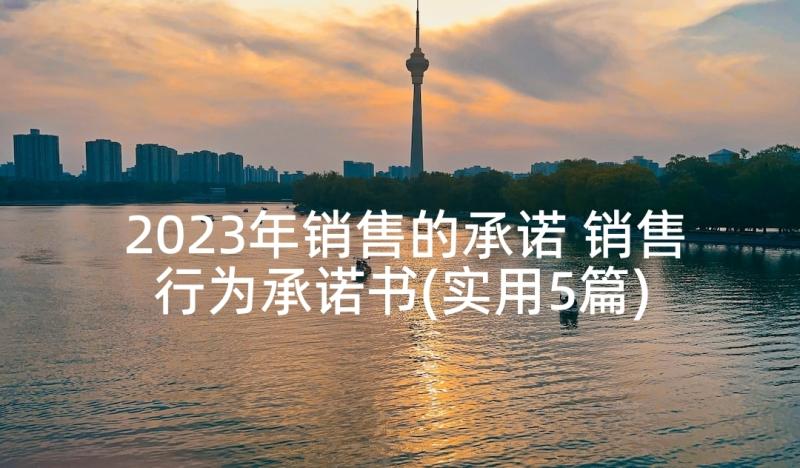 2023年销售的承诺 销售行为承诺书(实用5篇)