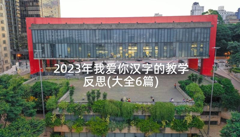 2023年我爱你汉字的教学反思(大全6篇)