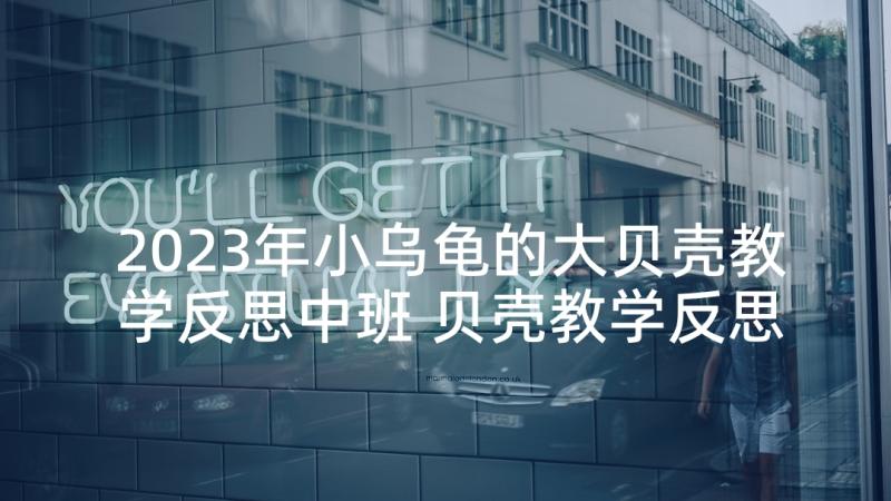 2023年小乌龟的大贝壳教学反思中班 贝壳教学反思(通用5篇)