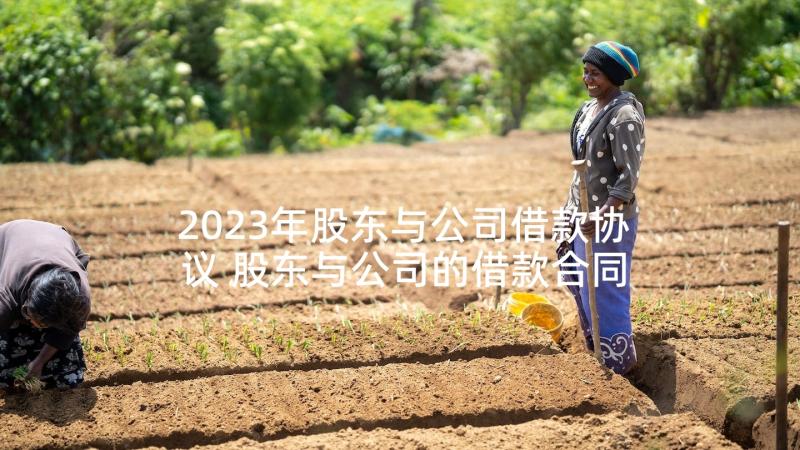 2023年股东与公司借款协议 股东与公司的借款合同(模板5篇)