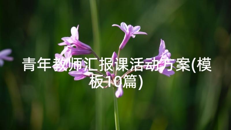 青年教师汇报课活动方案(模板10篇)