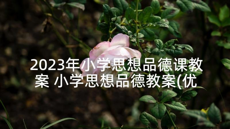 2023年小学思想品德课教案 小学思想品德教案(优秀5篇)