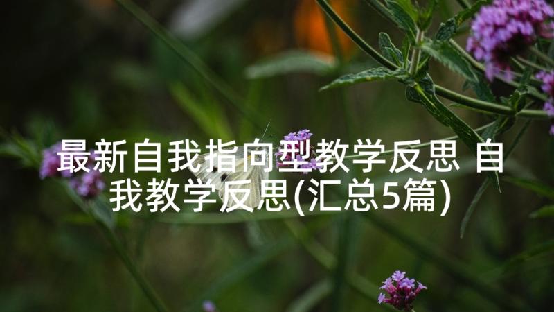 最新自我指向型教学反思 自我教学反思(汇总5篇)