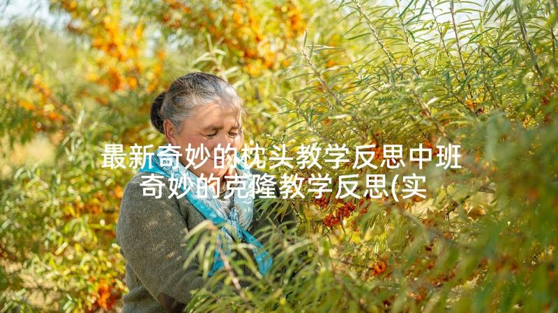 最新奇妙的枕头教学反思中班 奇妙的克隆教学反思(实用8篇)