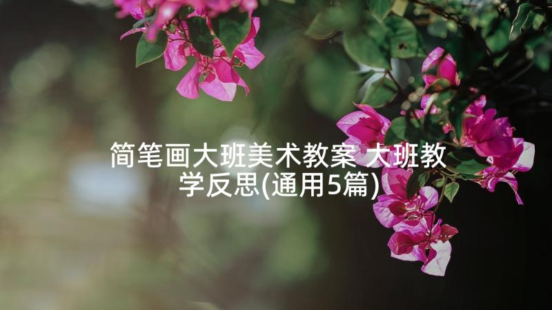 简笔画大班美术教案 大班教学反思(通用5篇)