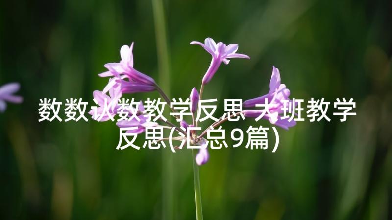 数数认数教学反思 大班教学反思(汇总9篇)