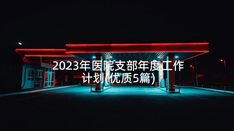 2023年医院支部年度工作计划(优质5篇)