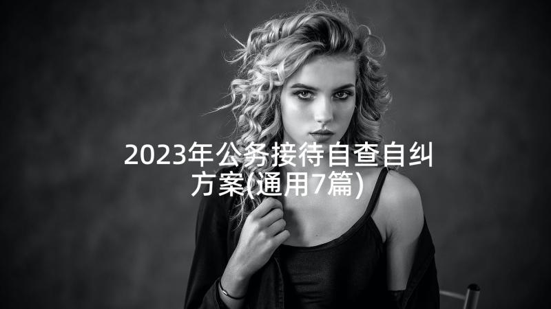 2023年公务接待自查自纠方案(通用7篇)