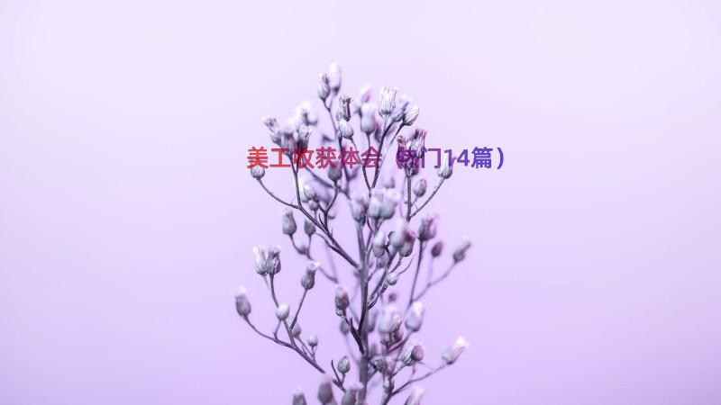 美工收获体会（热门14篇）