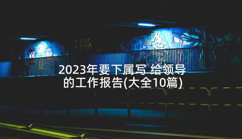 2023年要下属写 给领导的工作报告(大全10篇)