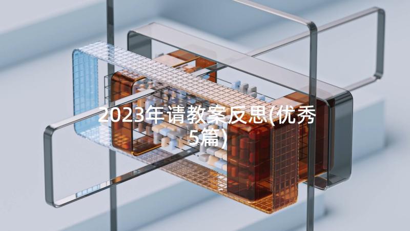 2023年请教案反思(优秀5篇)