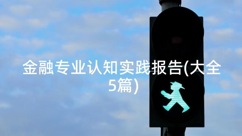 金融专业认知实践报告(大全5篇)