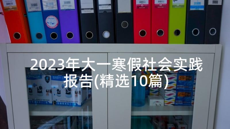 2023年大一寒假社会实践报告(精选10篇)