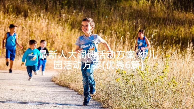 最新人大调研活动方案 幼儿园活动方案(优秀6篇)