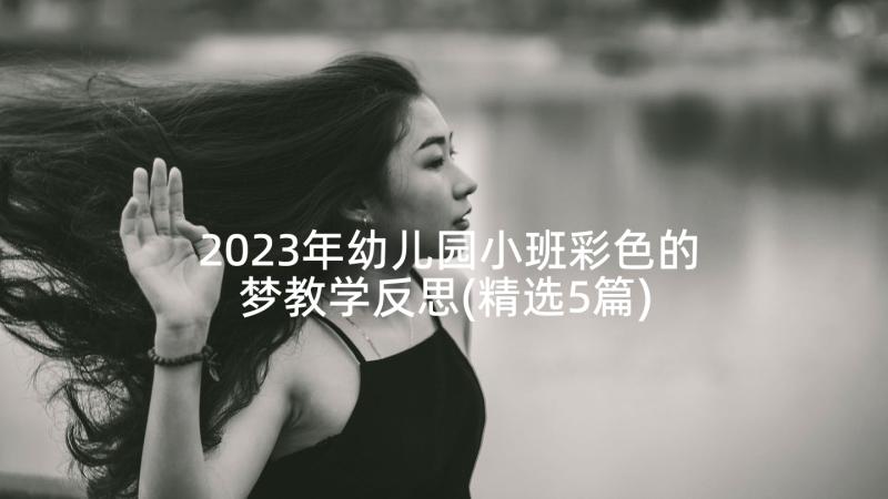 2023年幼儿园小班彩色的梦教学反思(精选5篇)