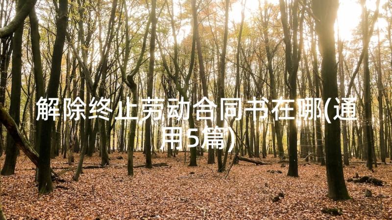 解除终止劳动合同书在哪(通用5篇)