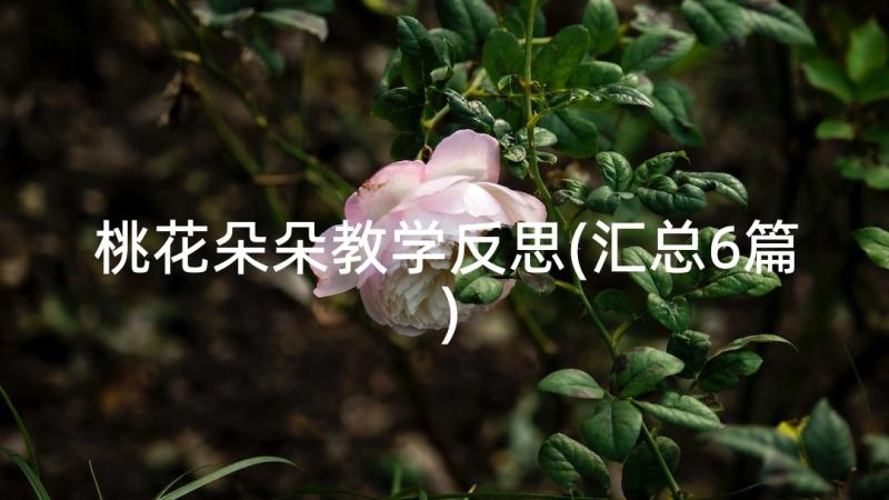 桃花朵朵教学反思(汇总6篇)