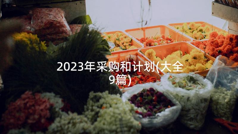 2023年采购和计划(大全9篇)