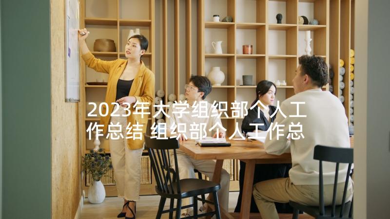 2023年大学组织部个人工作总结 组织部个人工作总结(汇总7篇)