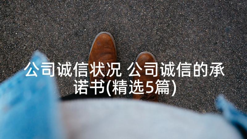 公司诚信状况 公司诚信的承诺书(精选5篇)