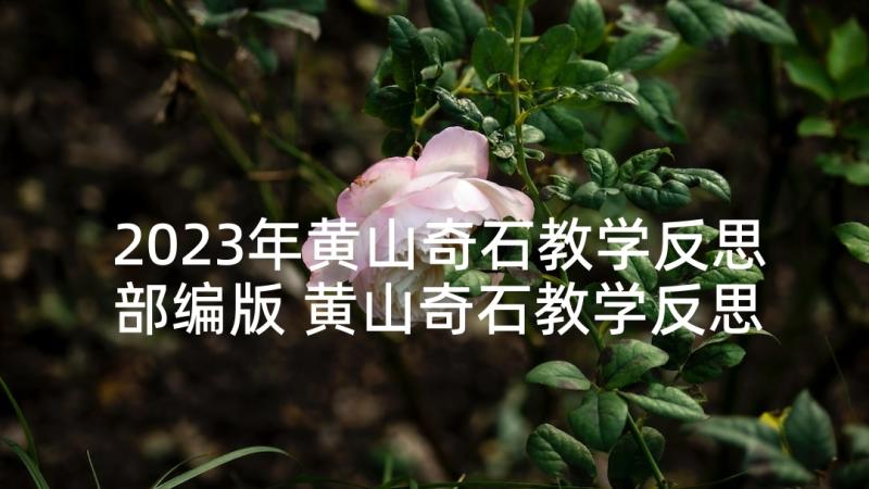 2023年黄山奇石教学反思部编版 黄山奇石教学反思(通用8篇)