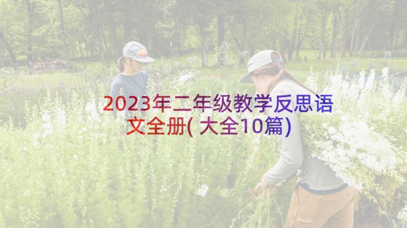 2023年二年级教学反思语文全册(大全10篇)