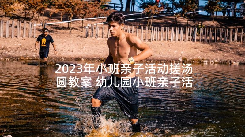 2023年小班亲子活动搓汤圆教案 幼儿园小班亲子活动总结(通用5篇)