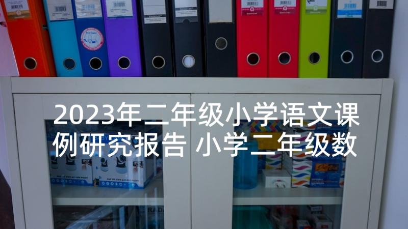 2023年二年级小学语文课例研究报告 小学二年级数学期末试卷分析报告(实用5篇)