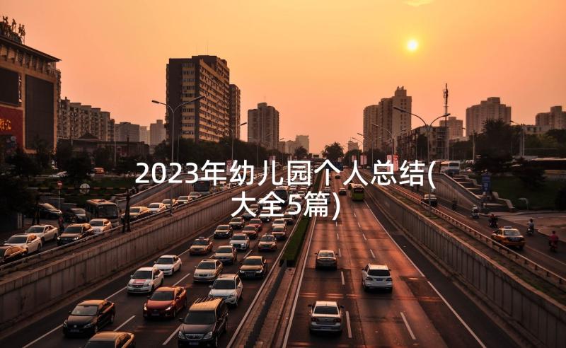 2023年幼儿园个人总结(大全5篇)